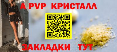 эйфоретик Тара