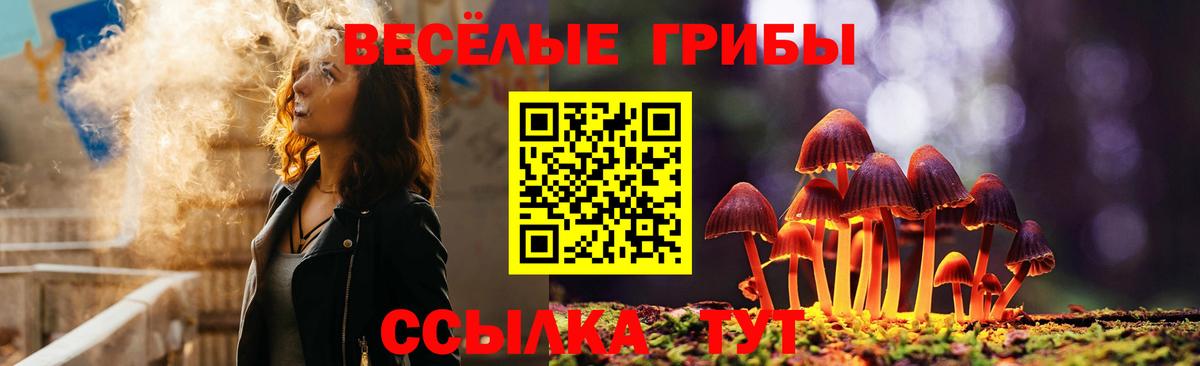 Нижний Тагил  Псилоцибиновые грибы Psilocybine cubensis  Вход с VPN 